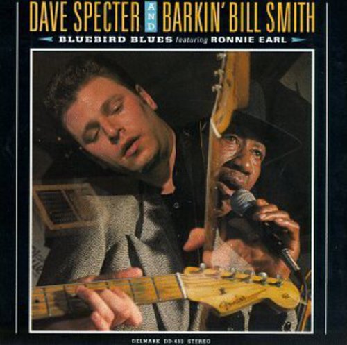 Dave Specter - Bluebird Blues