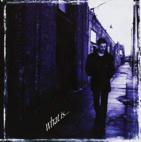 Richie Kotzen - What Is...