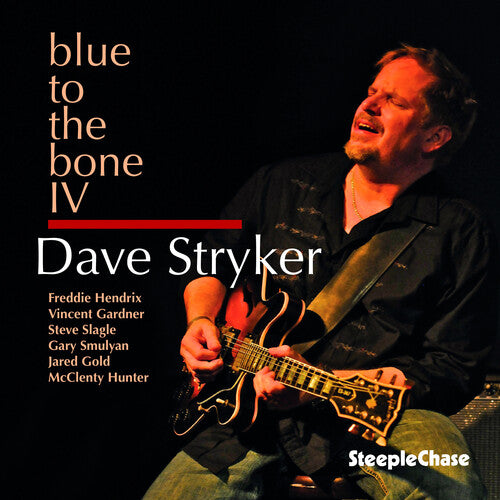 Dave Stryker - Blue to the Bone Iv