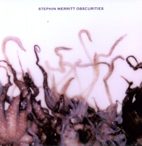 Stephin Merritt - Obscurities