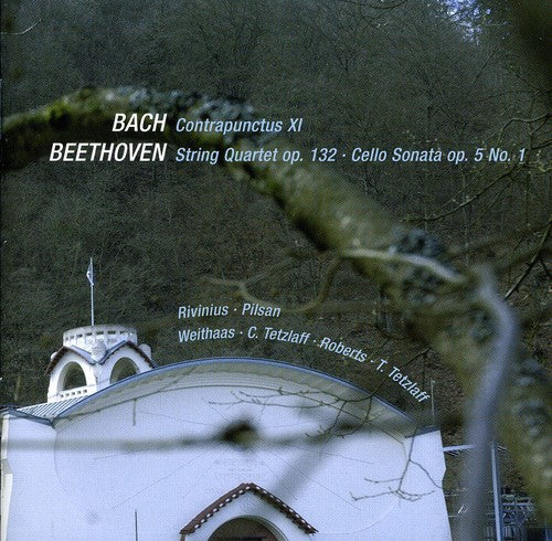 Beethoven/ J.S. Bach / Tetzlaff/ Weithaas - Chamber Works