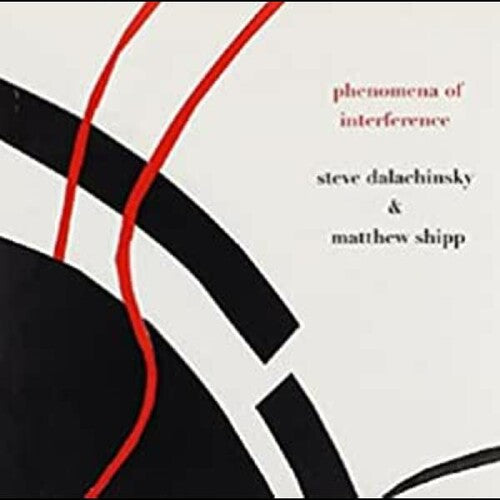 Steve Dalachinsky / Marhew Shipp - Phenomena of Interference