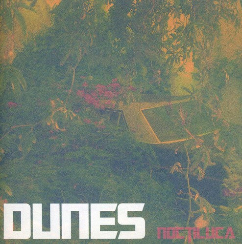 Dunes - Noctiluca