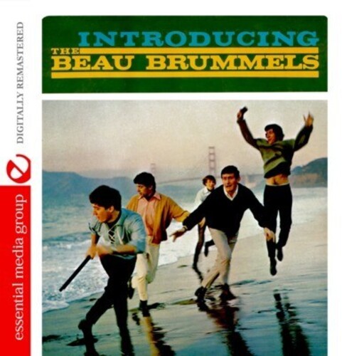 Beau Brummels - Introducing