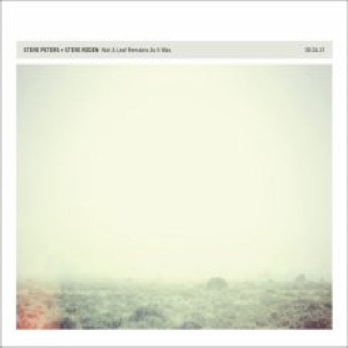 Steve Peters / Steve Roden - Not a Leaf Remains As It Was