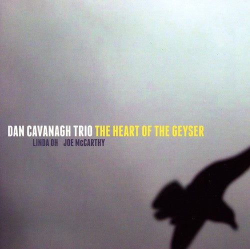 Dan Cavanagh - Heart of the Geyser