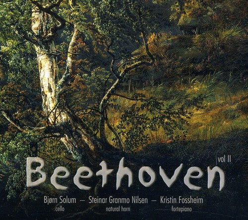 Ludwig van Beethoven - Beethoven Sonatas 2