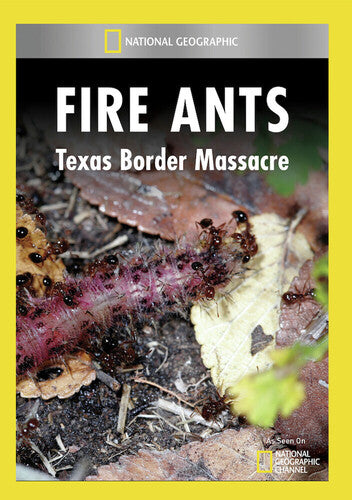 Fire Ants: Texas Border Massacre
