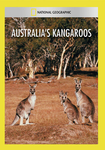Australias Kangaroos