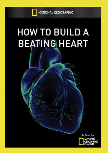 How to Build a Beating Heart
