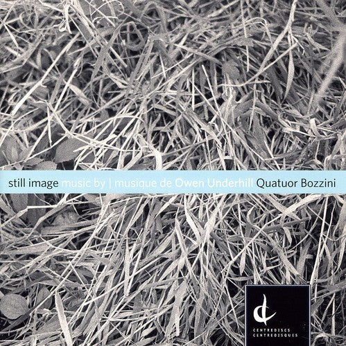 Underhill/ Quatuor Bozzini - Still Image