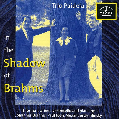 Brahms/ Zemlinsky/ Juon/ Trio Paideia - Im Schatten Von Brahms 1