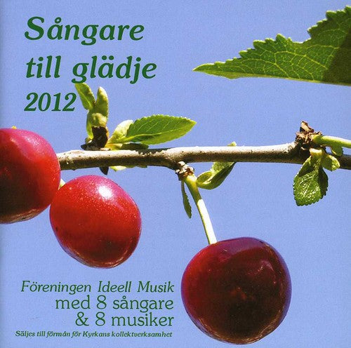 Sangare Till Gladje 2013/ Various - Sangare Till Gladje 2013 / Various