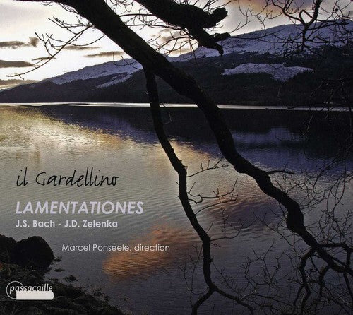 Zelenka/ J.S. Bach / Gardellino - Lamentationes