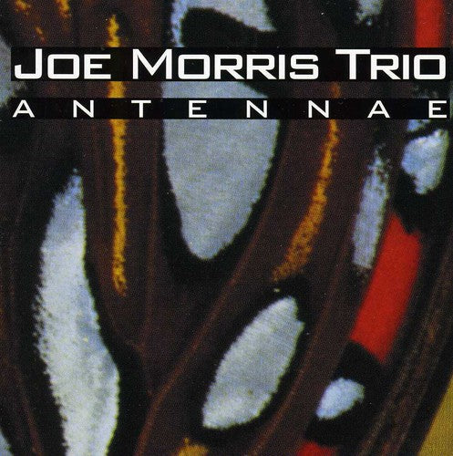 Joe Morris - Antennae