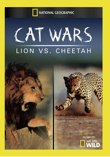 Cat Wars: Lion Vs. Cheetah