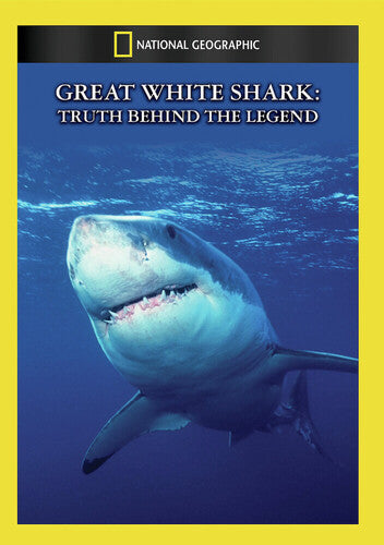 Great White Shark: Truth Behind the Legend