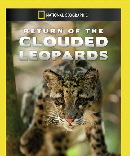 Return of the Clouded Leopards