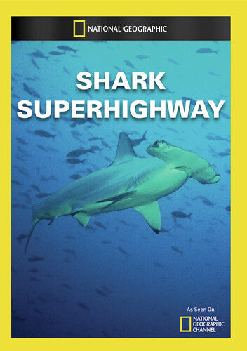 Shark Superhighway