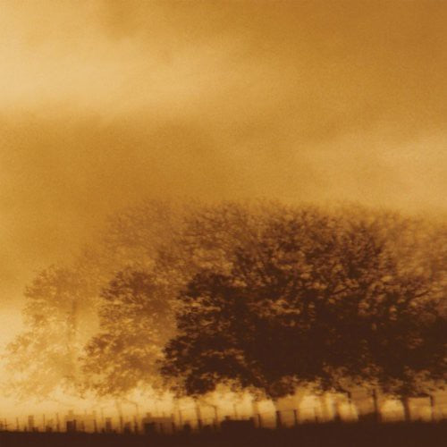 Infinite Light - Infinite Light