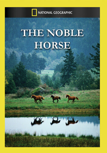 Noble Horse