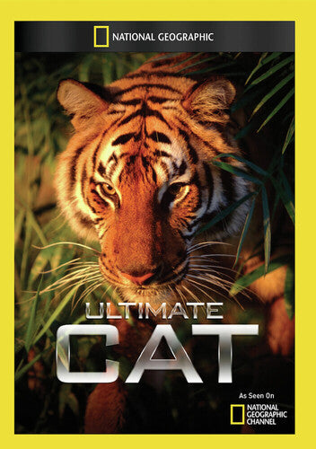 Ultimate Cat