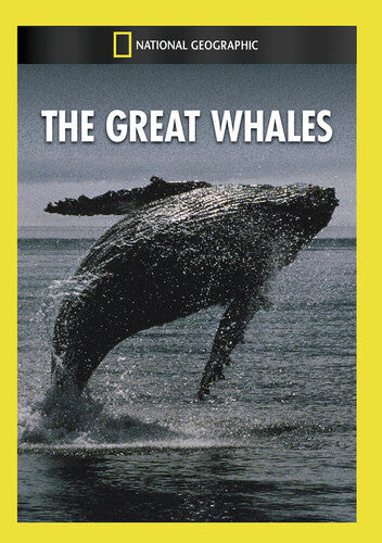 Great Whales