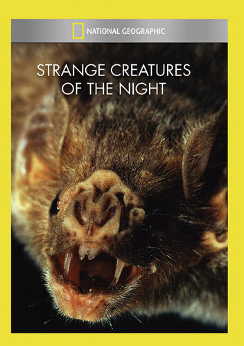 Strange Creatures of the Night