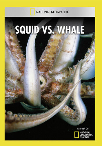 Squid Vs Whale