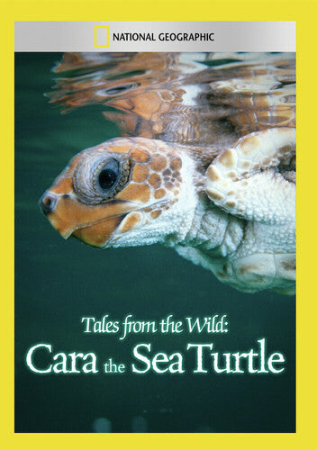 Tales From the Wild: Cara the Sea Turtle