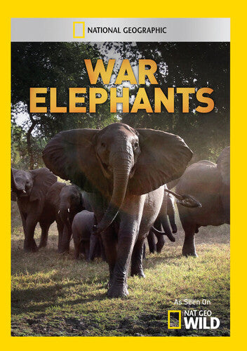 War Elephants