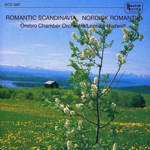 Hedwall/ Orebro Chamber Orch - Romantic Scandinavia