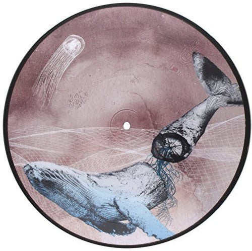 Mestis - Basal Ganglia