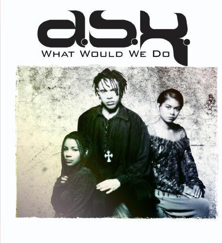 Dsk - What Would We Do