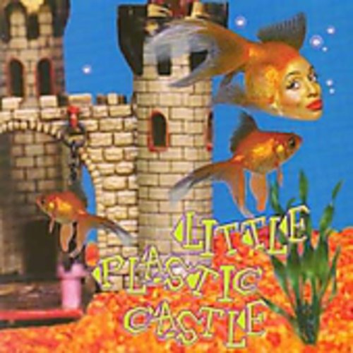 Ani Difranco - Little Plastic Castle