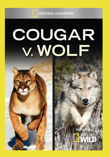 Cougar V Wolf