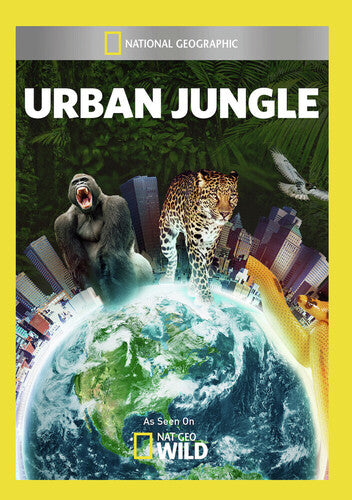 Urban Jungle