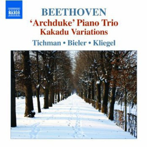 Beethoven/ Xyrion Trio - Piano Trios 5