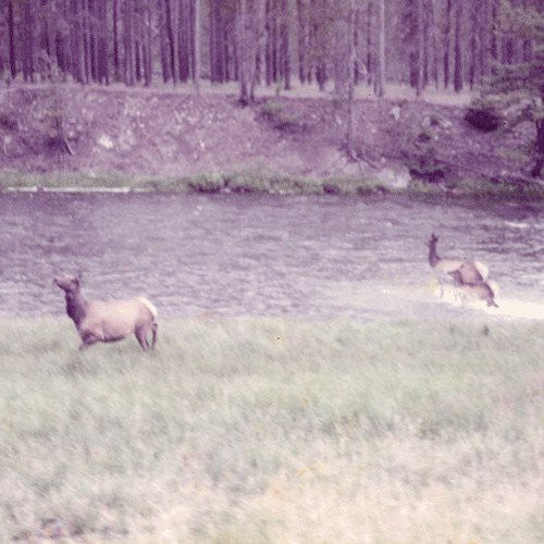 Seahaven - Ghost + Acoustic Sessions