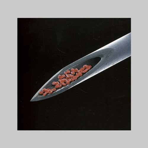 Peter Gabriel - New Blood Live in London