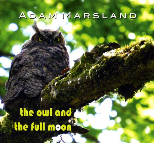 Adam - The