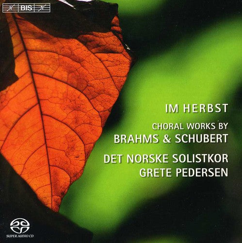 Brahms/ Andsnes/ Det Norske Solistkor/ Pedersen - Nine Songs from Zigeunerlieder