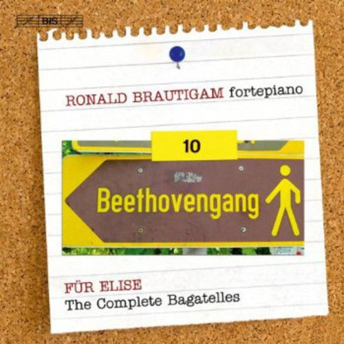 Beethoven/ Brautigam - Complete Works for Solo Piano 10