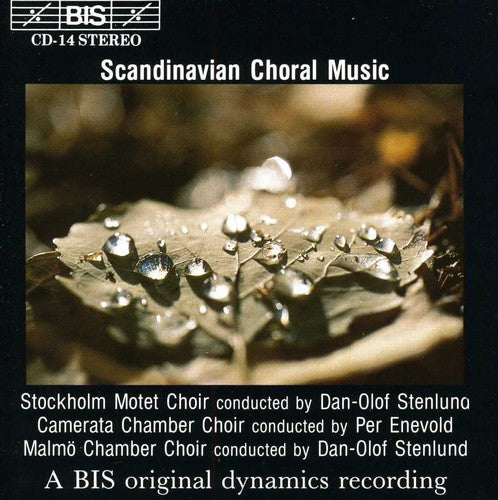 Scandinavian Choral Music/ Various - Scandinavian Choral Music / Various