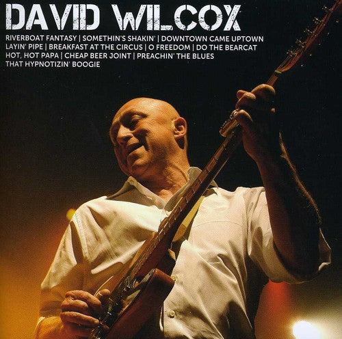 David Wilcox - Icon