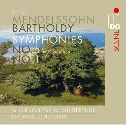 Thomas Zehetmair - Symphony No 1 & 5