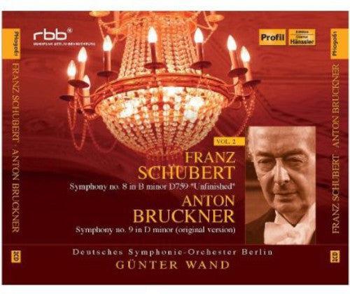 Schubert/ Deutsches Symphonie Orchester Berlin - Schubert Bruckner 2: Symphony No 8 & Symphony No 9