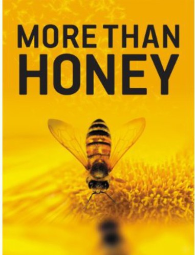 More Than Honey