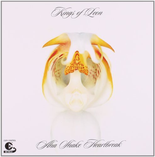 Kings of Leon - Aha Shake Heartbreak
