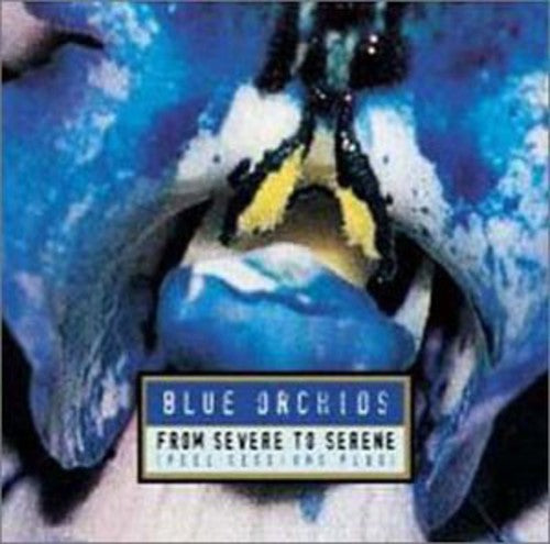 Blue Orchids - From Severe to Serene